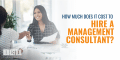 how much does it cost to hire a management consultant
