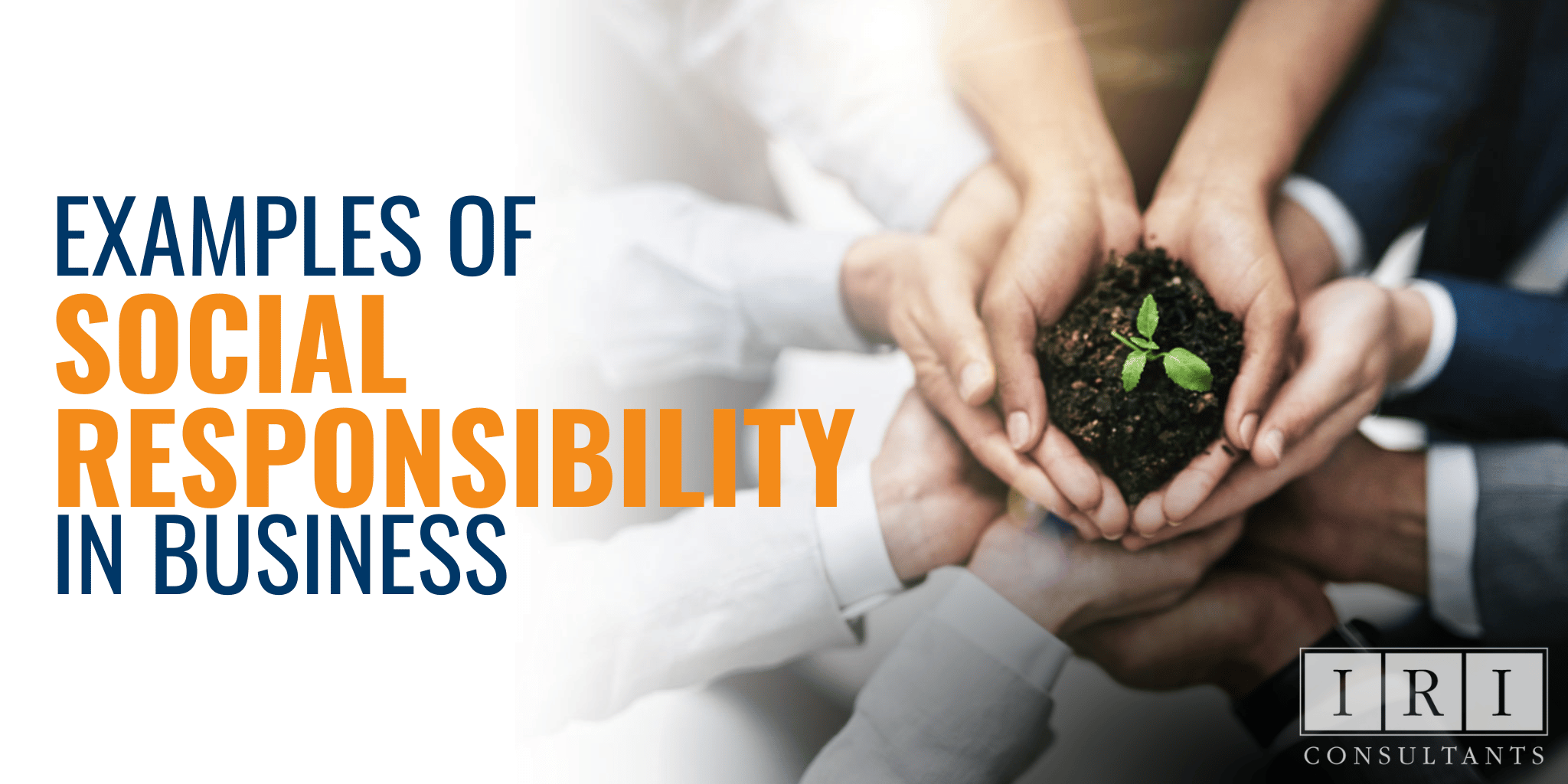 Examples Of Social Responsibility In Business