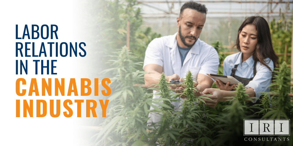 Labor Relations in the Cannabis Industry